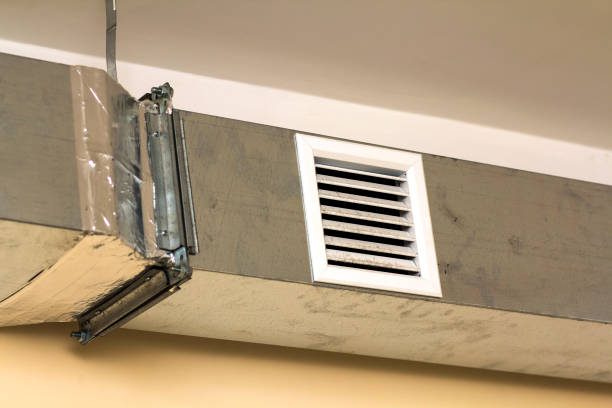 Best Affordable Duct Cleaning Services  in Monrovia, IN